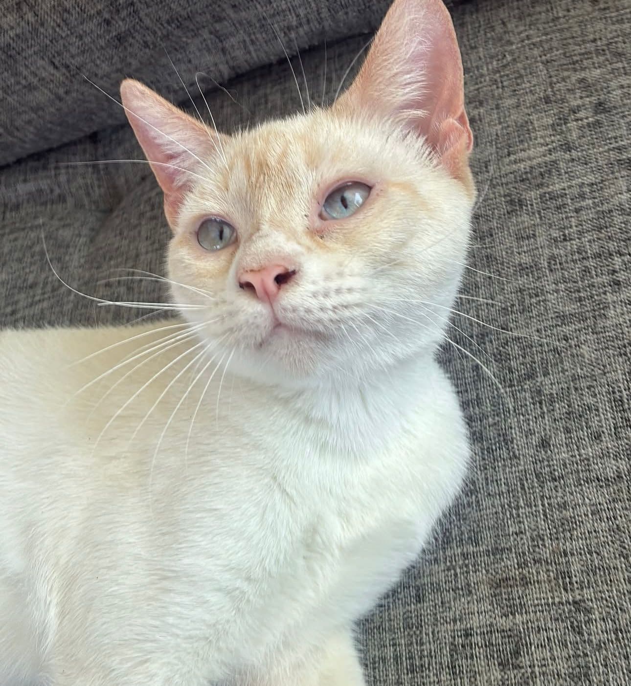Foto de Mau